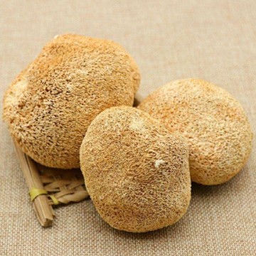 Dried Lions Mane Mushrooms 1