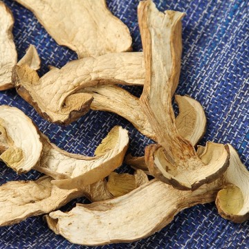 Dried Porcini Mushrooms 1
